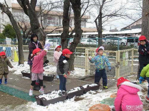 ひまわり組の児が雪を投げて遊んでいる