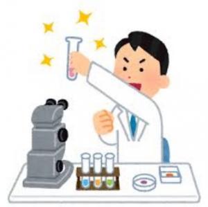 自由研究の画像