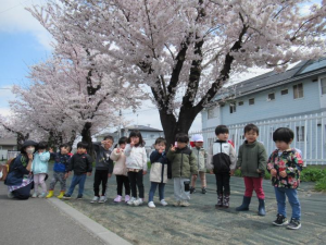 すみれ組お花見