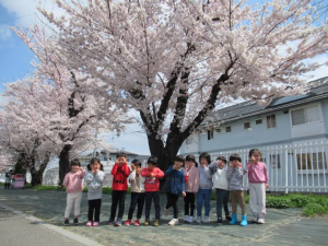 かんな組修了児お花見