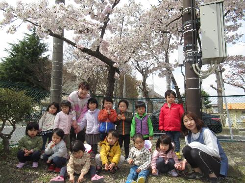 すみれ組が桑野公民館できれいな桜のお花見をしました