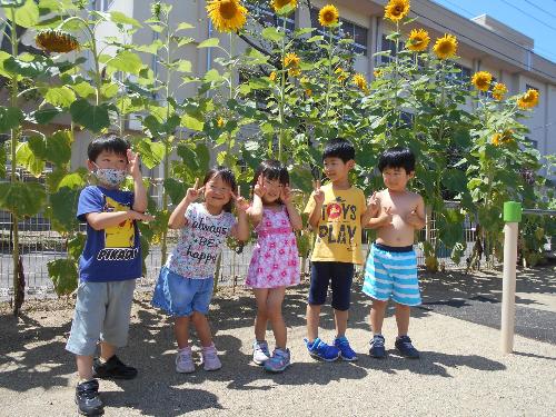 ひまわり組修了児、ひまわりの前での集合写真