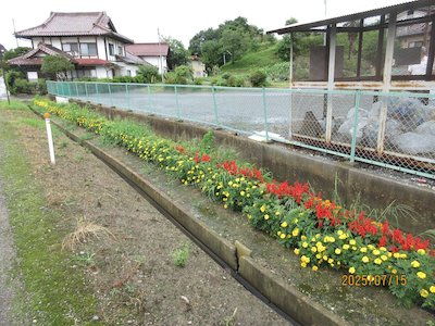小川環境委員会3
