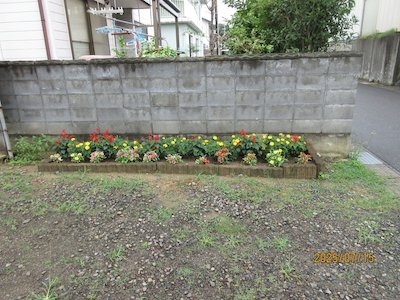桜ヶ丘町内会1