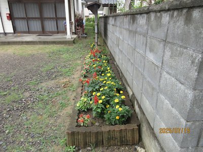 桜ヶ丘町内会3