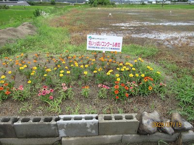 金屋金寿会1