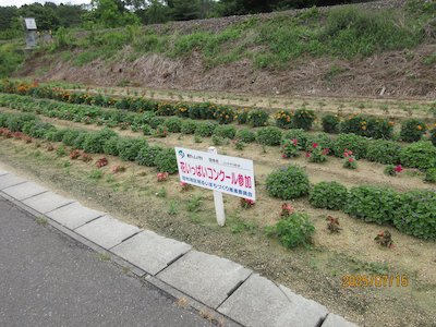 山中行政区3