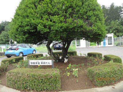 駅前幸愛来2