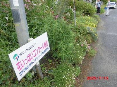 谷田川北田3