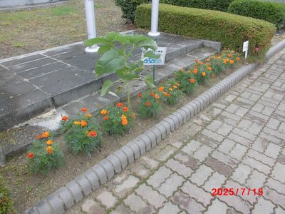 田村公民館2