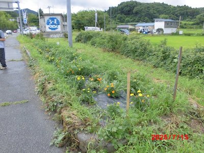 ハトヤ商会1