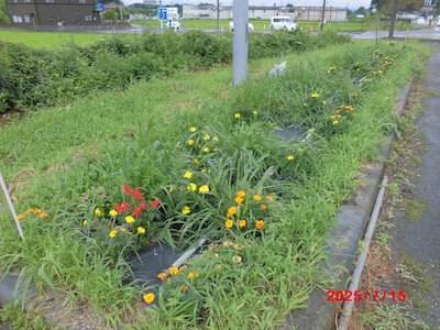 ハトヤ商会2