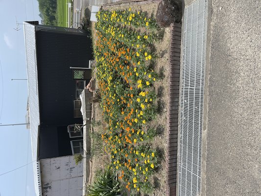 岩作花愛好会1