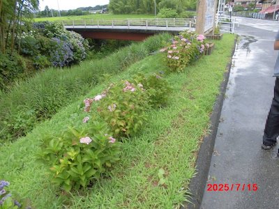町畑主婦の会2