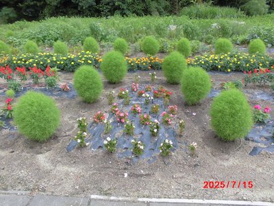 栃本花愛好会2