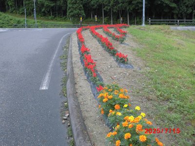 富永平内花を愛する会1