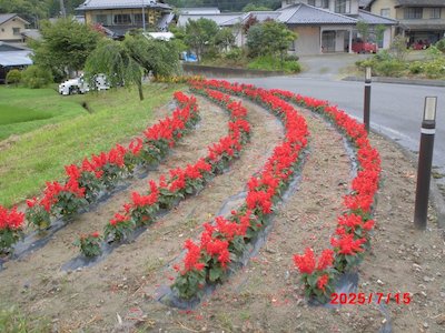 富永平内花を愛する会3