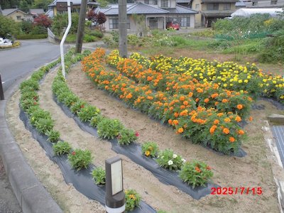 富永平内花を愛する会4