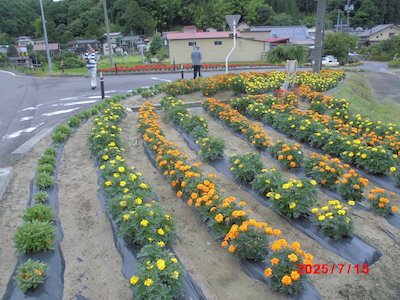 富永平内花を愛する会5