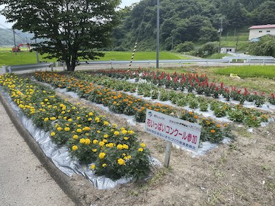 赤坂花愛好会2