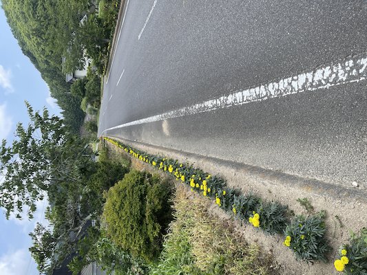 元気なふるさとを創る会6
