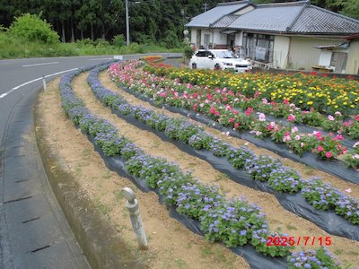 栃山神行政区4