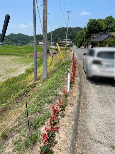 川曲自然保全会4
