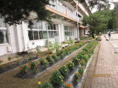 郡山市立守山小学校4