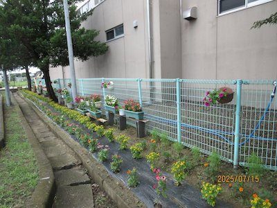 郡山市立守山小学校6