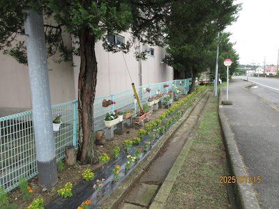 郡山市立守山小学校7