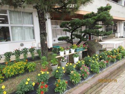 郡山市立守山小学校8