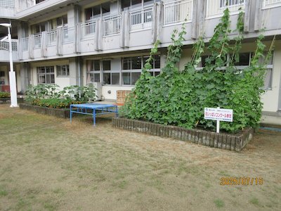 郡山市立御代田小学校1