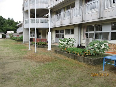 郡山市立御代田小学校2