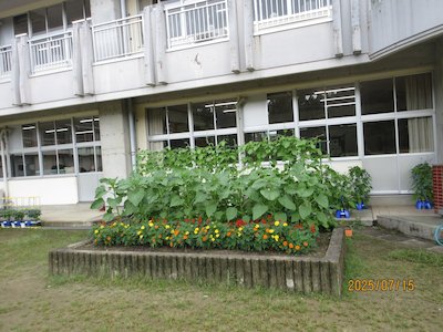 郡山市立御代田小学校4