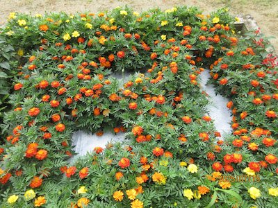 郡山市立御代田小学校7