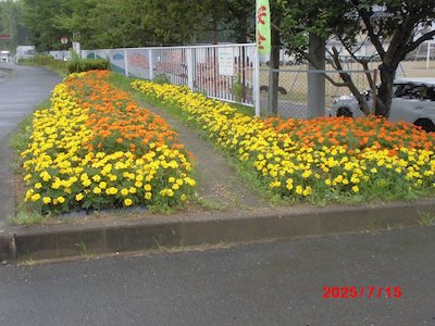 郡山市立谷田川小学校3