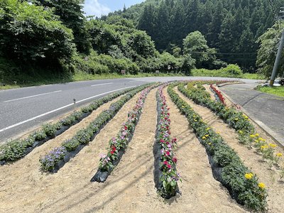 栃山神行政区6