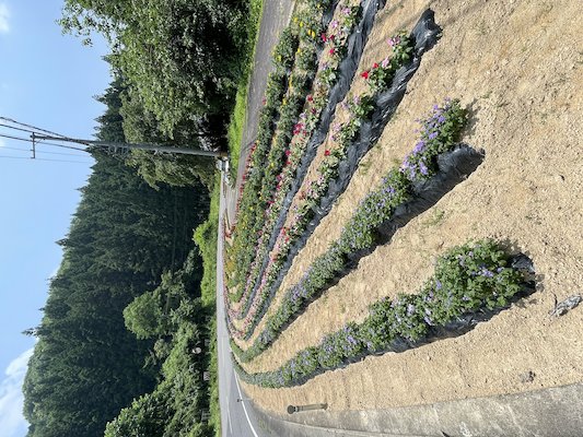 栃山神行政区7