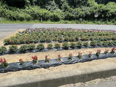 栃山神行政区8