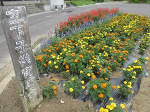 花コン2