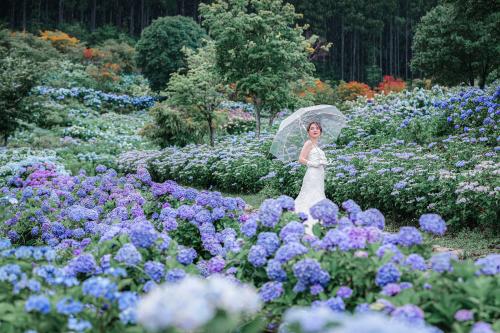 あじさい物語〜雨に咲く花嫁〜