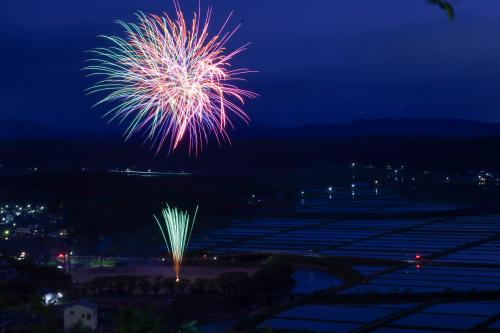 春の夜に咲く
