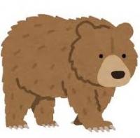 熊の画像