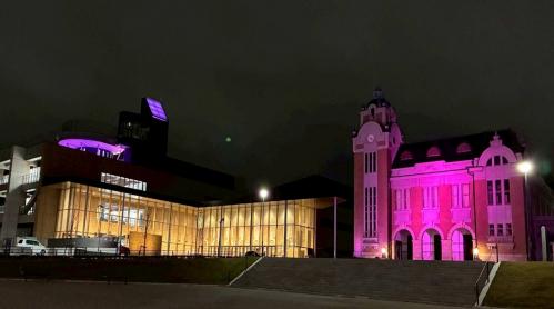 R7パープル・ライトアップ写真