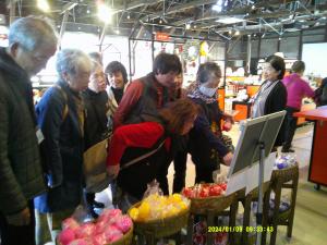 だるまランドで絵付け体験