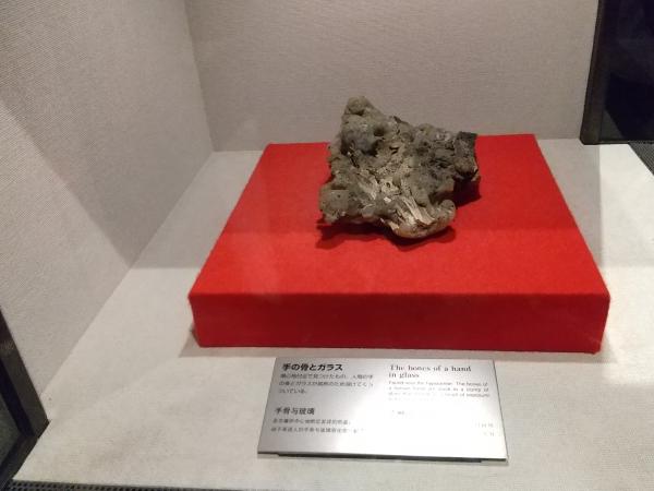 手と骨のガラス
