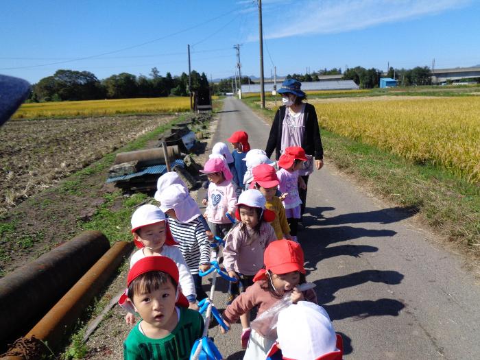 道路を散歩する子ども