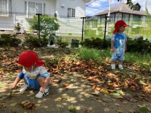 落ち葉みつけた