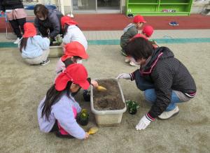 地域の女性とプランターに花の苗を植える女子児童