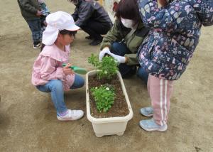 地域の女性に花の苗の植え方を教えてもらっている女子児童